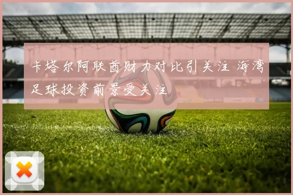 卡塔尔阿联酋财力对比引关注 海湾足球投资前景受关注