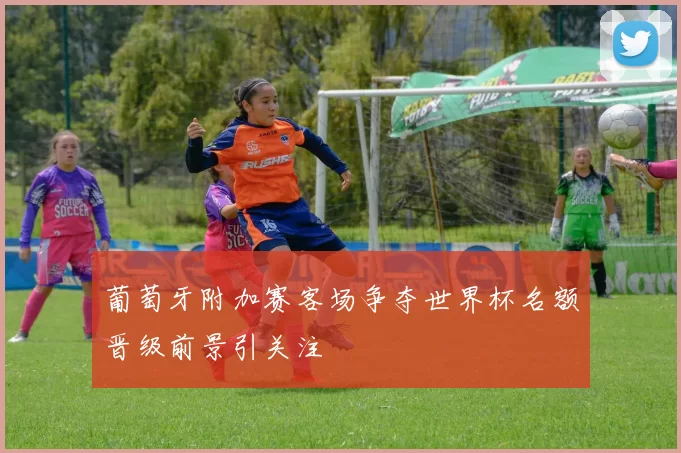 葡萄牙附加赛客场争夺世界杯名额晋级前景引关注