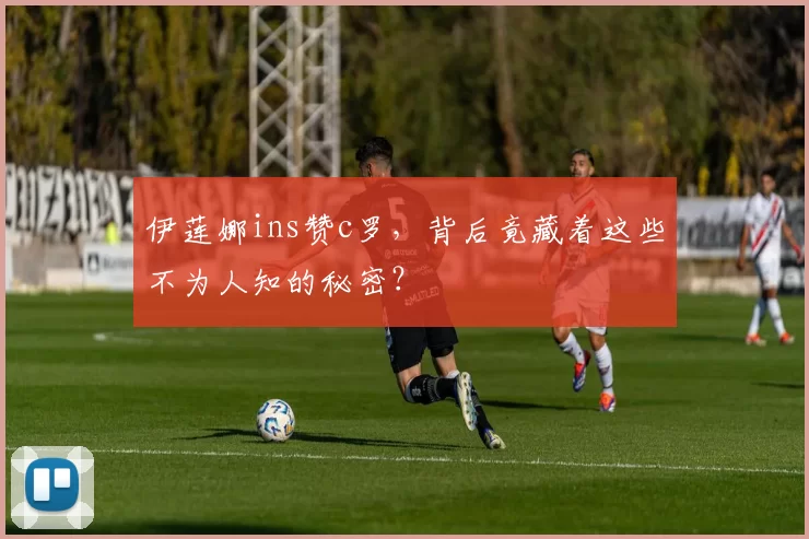 伊莲娜ins赞c罗,背后竟藏着这些不为人知的秘密?