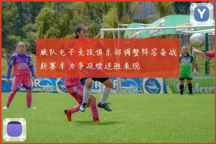 狼队电子竞技俱乐部调整阵容备战新赛季力争延续连胜表现