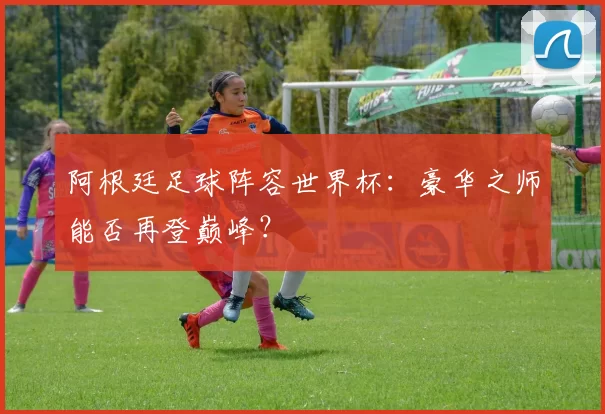 阿根廷足球阵容世界杯：豪华之师能否再登巅峰？